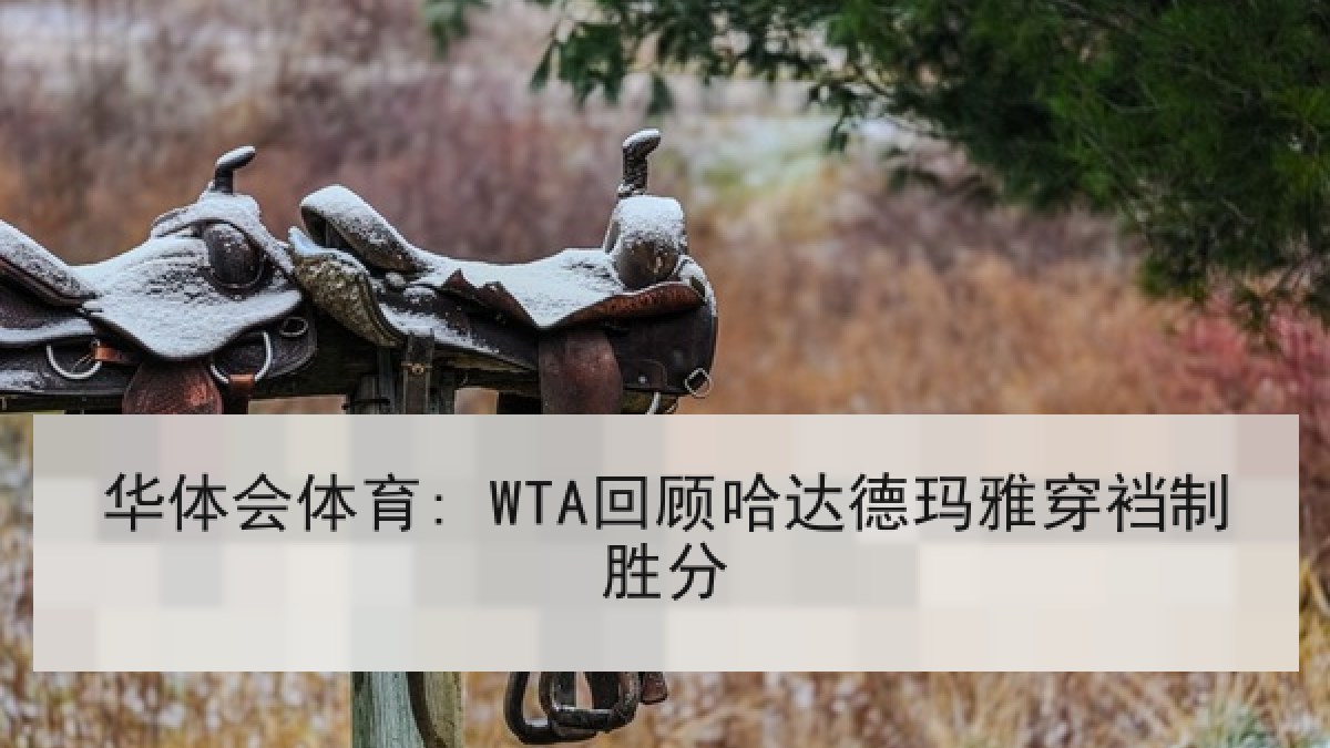 华体会体育: WTA回顾哈达德玛雅穿裆制胜分 华体会体育: WTA回顾哈达德玛雅穿裆制胜分